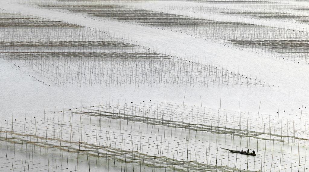 美翻了！法国的摄影师Thierry Bornier镜头下的中国美 | 艺术新生活