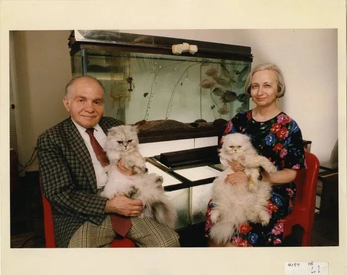 他们在小小的出租屋里领养了8只流浪猫，19条鱼和20只乌龟。