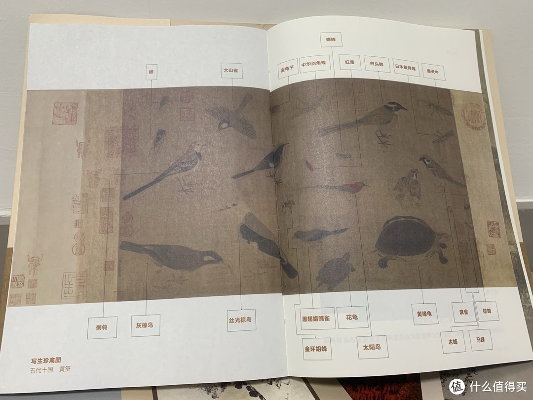 0️⃣压力秒懂中国画|千秋着墨色，字画读中国